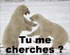 eh oui je te cherche